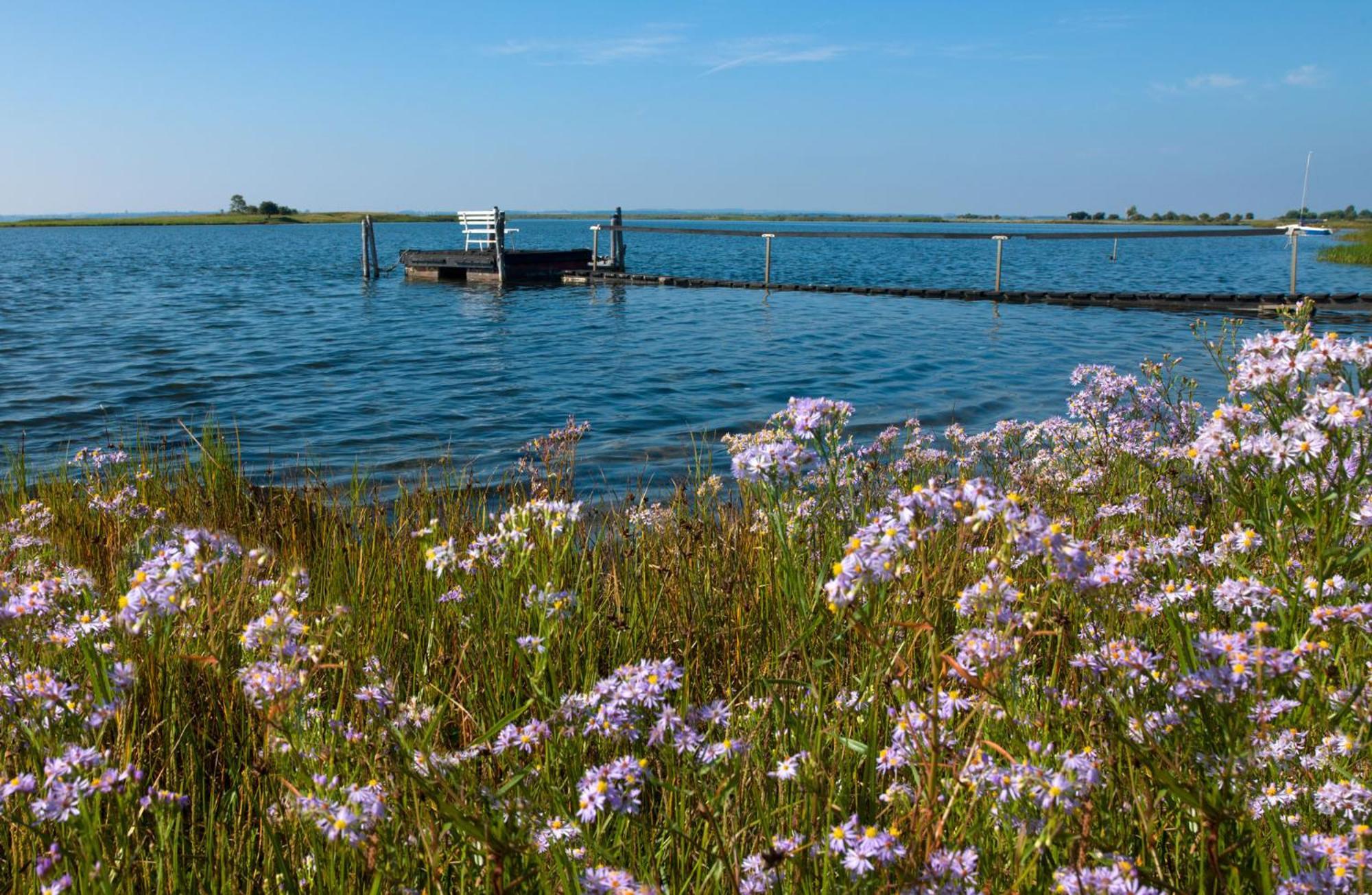 Residenz Am Yachthafen Strandaster Kirchdorf  Eksteriør billede